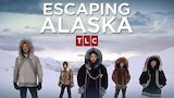 Igloo of Lies & Finding Frank