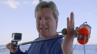 SharkFest Season 4 Episode 4 SharkFest Season 4 Episode 4