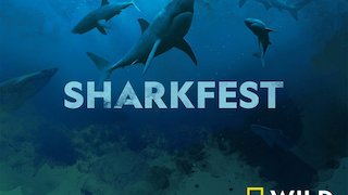 SharkFest Season 4 Episode 5 SharkFest Season 4 Episode 5