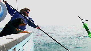 Wicked Tuna: North vs. South Season 1 Episode 6 Wicked Tuna: North vs. South Season 1 Episode 6