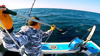 Wicked Tuna: North vs. South Season 1 Episode 8 Wicked Tuna: North vs. South Season 1 Episode 8