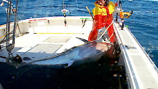 Wicked Tuna: North vs. South Season 1 Episode 9 Wicked Tuna: North vs. South Season 1 Episode 9