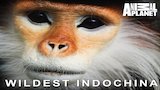 Southwest China: Chinaâ' Secret Garden