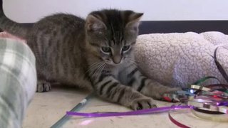 Xploration Animal Science Season 2 Episode 7 Xploration Animal Science Season 2 Episode 7