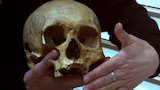 The Waterloo Dead