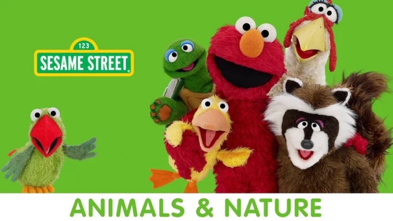 Sesame Street: Animals and Nature