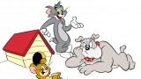 Jerry's Diary