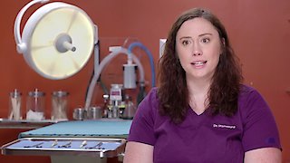 Dr. K\'s Exotic Animal ER Season 8 Episode 3 Dr. K\'s Exotic Animal ER Season 8 Episode 3