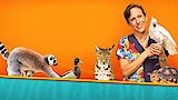 Episode 11