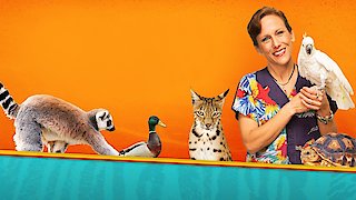Dr. K's Exotic Animal ER - Oui, Oui... Piggie!