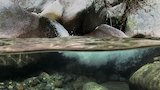 The Frontier of the Sea