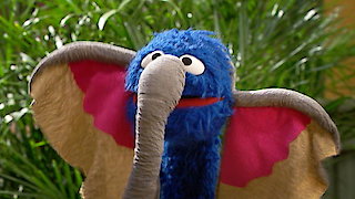 Sesame Street - Neighborhood Safari