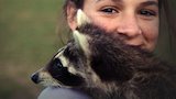 Raccoons Gone Wild