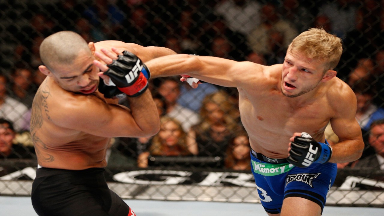 UFC 173: Barao vs. Dillashaw
