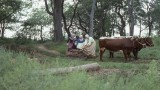 Episode Three