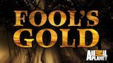 Gold Habits Die Hard