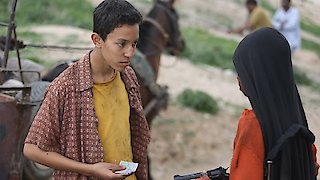 American Odyssey Stream American Odyssey Stream