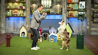 Spring Baking Championship Season 6 Episode 3 Spring Baking Championship Season 6 Episode 3