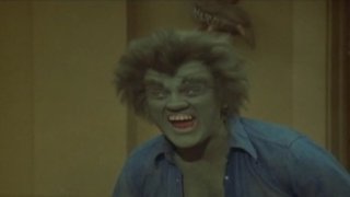 The Incredible Hulk Season 4 Episode 13 The Incredible Hulk Season 4 Episode 13
