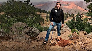 Dr. Jeff: Rocky Mountain Vet - Runaway Dog