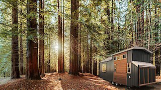 Tiny House, Big Living - Funky Futuristic 'tiny'