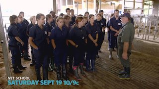 Vet School Season 1 Episode 101 Vet School Season 1 Episode 101