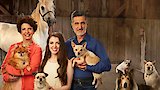 We Love Dogs: Wags to Riches Special!