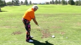 Putting