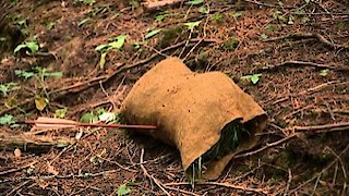 The Boonies Season 1 Episode 6 The Boonies Season 1 Episode 6