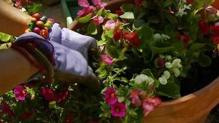 Curb Appeal: The Block Season 4 Episode 7 Curb Appeal: The Block Season 4 Episode 7
