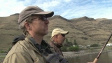 Fly Fishing Washington's State Spokane Upper River in July