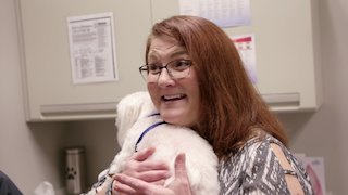 The Vet Life Season 6 Episode 7 The Vet Life Season 6 Episode 7