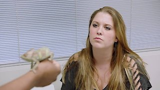 The Vet Life Season 1 Episode 1 The Vet Life Season 1 Episode 1