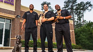 The Vet Life Season 6 Episode 9 The Vet Life Season 6 Episode 9