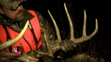 Trophies, Managements, & Exotics