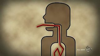 Important Things with Demetri Martin Season 2 Episode 7 Important Things with Demetri Martin Season 2 Episode 7