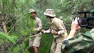 Important Things with Demetri Martin Season 2 Episode 8 Important Things with Demetri Martin Season 2 Episode 8