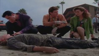 Silk Stalkings Season 1 Episode 3 Silk Stalkings Season 1 Episode 3