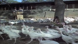 Little House on the Prairie Season 3 Episode 6 Little House on the Prairie Season 3 Episode 6