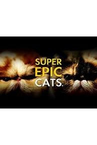 Super Epic Cats