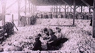 Religions of the World Season 1 Episode 11 Religions of the World Season 1 Episode 11