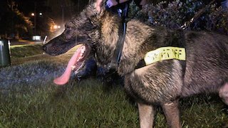 Live PD Season 3 Episode 1 Live PD Season 3 Episode 1