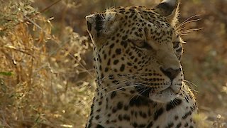 Savage Kingdom Season 3 Episode 1 Savage Kingdom Season 3 Episode 1