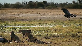 Savage Kingdom Season 3 Episode 2 Savage Kingdom Season 3 Episode 2