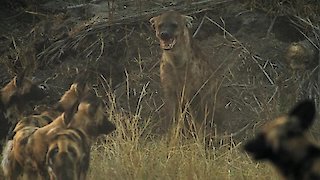 Savage Kingdom Season 3 Episode 6 Savage Kingdom Season 3 Episode 6