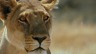 Savage Kingdom Season 4 Episode 1 Savage Kingdom Season 4 Episode 1