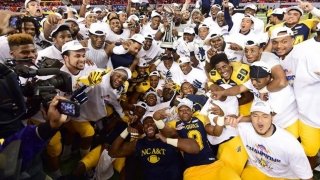 Celebration Bowl - 2025 Celebration Bowl: South Carolina State Bulldogs vs. Prairie View A&M Panthers