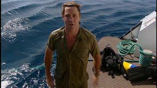 The Crocodile Hunter Season 5 Episode 5 The Crocodile Hunter Season 5 Episode 5