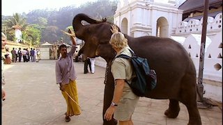 The Crocodile Hunter Season 5 Episode 8 The Crocodile Hunter Season 5 Episode 8