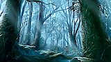 The Sound of Footsteps on the Grass